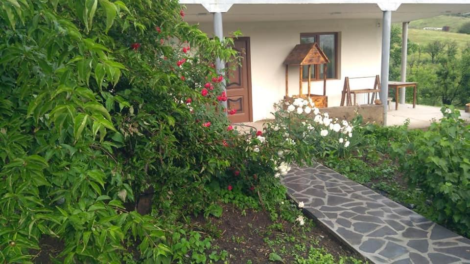 Amoj B&B And Guest House Alaverdi Εξωτερικό φωτογραφία
