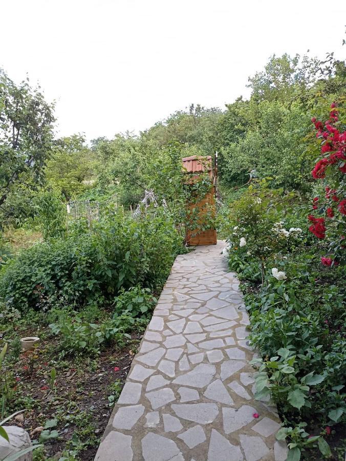 Amoj B&B And Guest House Alaverdi Εξωτερικό φωτογραφία