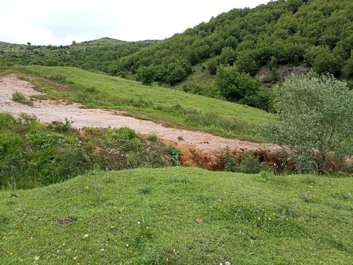 Amoj B&B And Guest House Alaverdi Εξωτερικό φωτογραφία